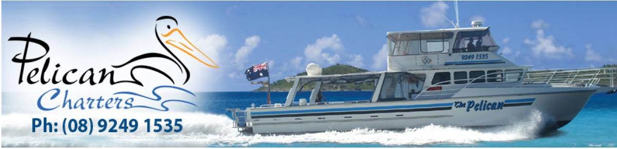 amazing charter boat boat rental perth in perth