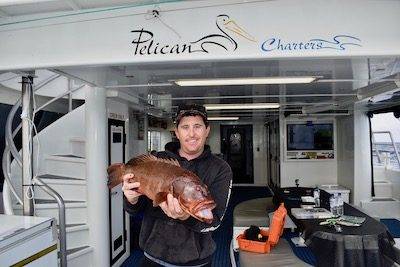 Montebello islands coral trout