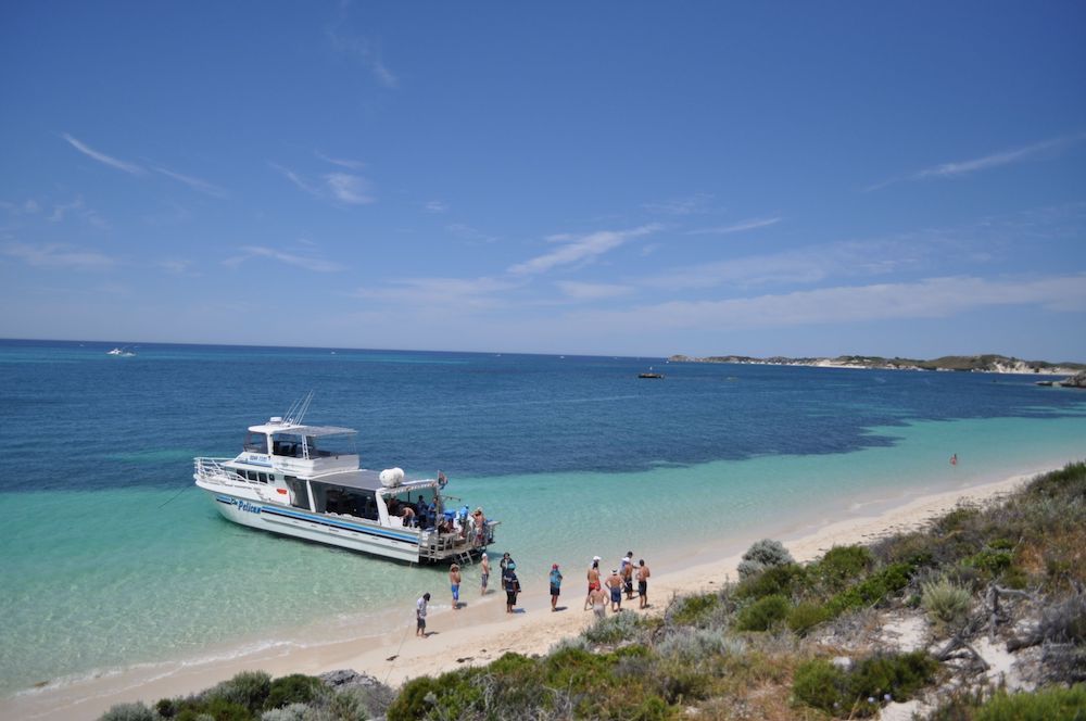 Discover-the-beauty-of-rottnest-island